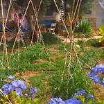 Cala Creta Appartamento *