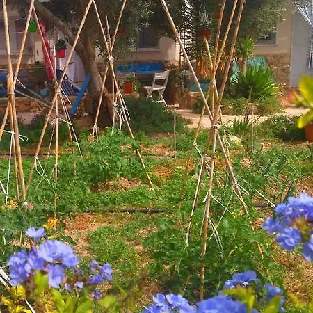 Cala Creta Apartmán *