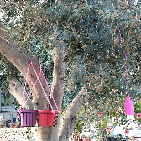 Appartamento Cala Creta *